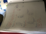 Biology 189 Week 8