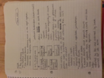 PLS 2120 WK 9 Notes