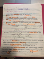 Study Guide Fundamentals of Learning Midterm 1