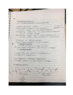Organic Chemistry Study Guide Exam 2