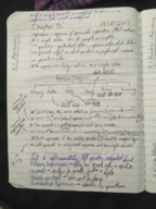 Chapter 3 Notes