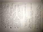 Apparel Merchandising study Guide