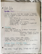 Mus 205 week 5 notes