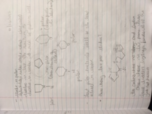 Chemistry Week 9 Notes