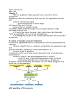 Test 3