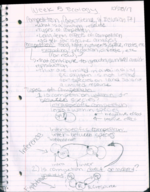 Ecology Week 5 Notes
