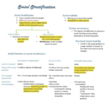 examination 3 study guide
