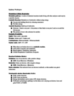 Cellular Respiration