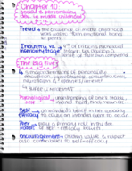 Lifespan notes 8