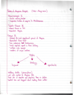 Week 7 World of Near East notes
