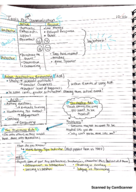 Tools for Communication Class Notes