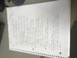 Arguement  Essay