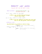 Benefit cost ratio