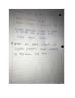 SPANISH 101 - Week 11 (chapter 4)