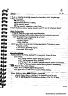 Sleep In Class Notes