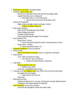 Planets, Stars, and Galaxies Study Guide 2 