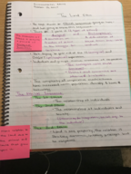 Environmental Ethics Week 7