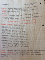 A&P, week2