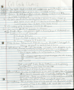 The cell cycle (chapter 12)