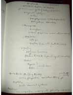 Biochemistry Week 2 Notes