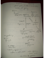 Biochemistry Week 4 Notes