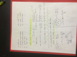 Exam 3- Exam Review