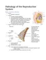 MEDRADSC 3J03: Mammography and Breast Pathologies