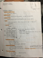 PSYC Week 10