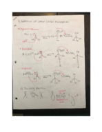 Chem 203 Exam 1 Study Guide