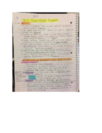 NUTR205- Ch 17: Flour & Flour Mixtures