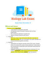 Laboratory Exam 2