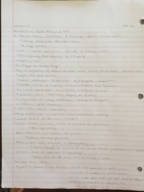 MYTHOLOGY Week 9