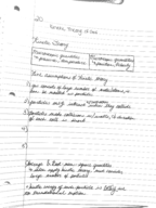 Chapter 20: Kinetic Theory of Gas Professor Pooja Punjeet