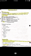 American Judicial System; Week 10 Notes