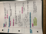 Microbiology - Week 8 