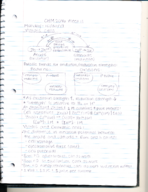 CHM2046 Week 11 Notes