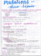 BIO184 Exam 3 Study Guide