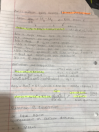 Chapter 6 study guide