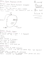 Bio 201 Week 9