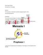 Introduction to Biology - Meiosis