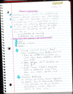 PHL 204 Week 3 Notes