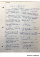 CHM 115 Lecture 17: Shapes of Molecules 