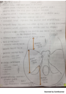 Lab Test #2 Study Guide