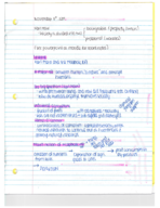 soci 203, week 9 