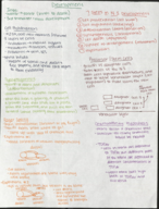 Physiological Psychology Exam #3
