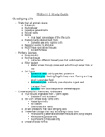 Midterm 2 Study Guide