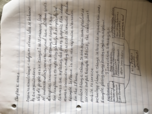 Course notes week 8