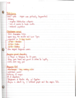 Week 9 Class Notes: World of Near East