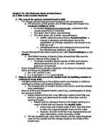 Chapter 16- The Molecule Basis of Inheritance
