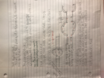 DNA replication